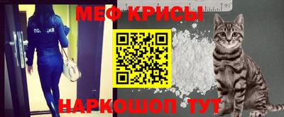 мдпв Кингисепп