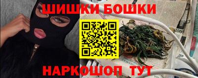 мдпв Кингисепп