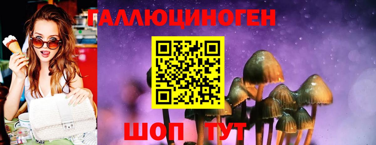 Псилоцибиновые грибы прущие грибы Южно-Сахалинск